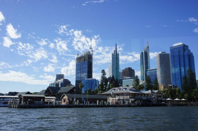 市街へもどってきました。充実した内容で大満足のスワンバレークルーズでした。もう一度パースへきたら行ってもいいなぁ。