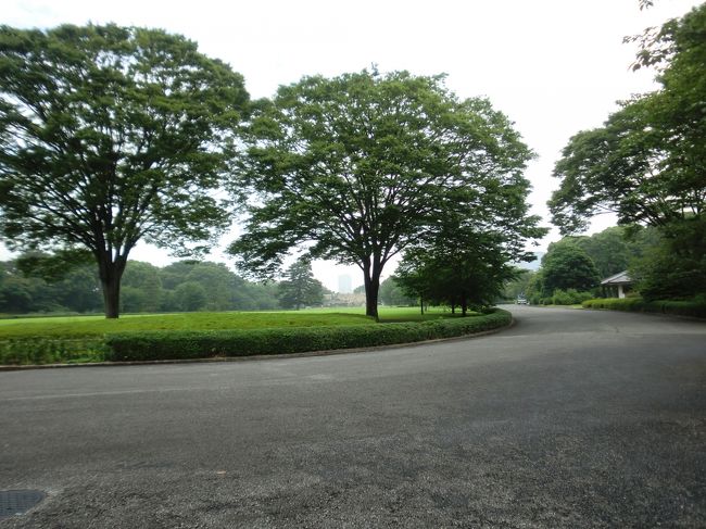 今は何もありません。