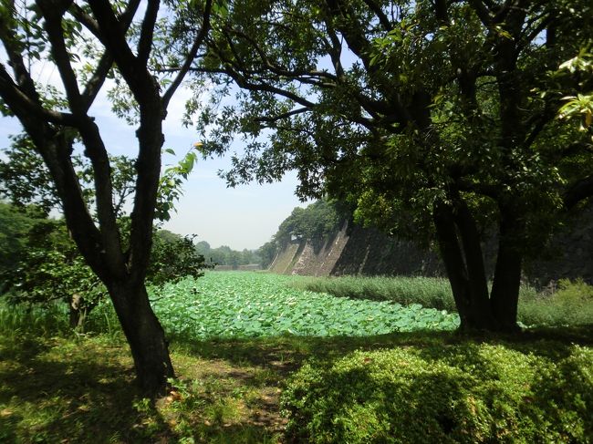 富士見多聞と蓮池濠。