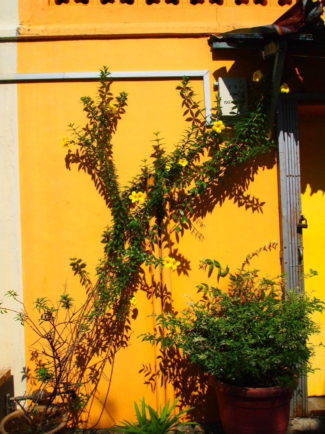 何か気になってパシャリ。