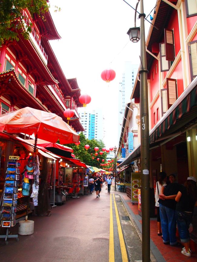 だから、写真の枚数がすごいことになって、友人達には『旅行の写真は見たいんだけど、枚数が多過ぎるから厳選した状態でもってこい』とよく言われます…（笑）<br />厳選したところで100枚以上はザラにいくんですけどね。