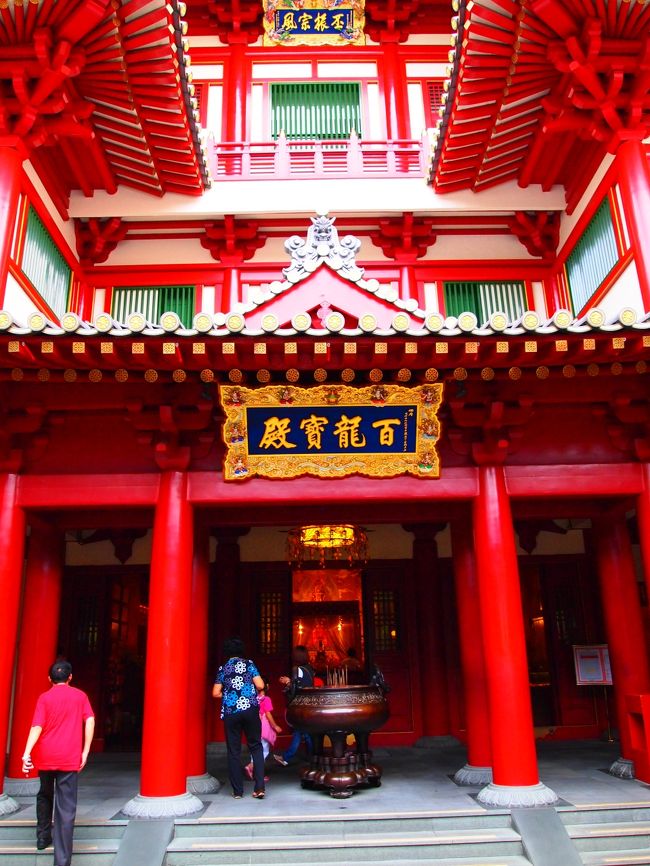 彩度あげて撮ったらものすごく赤い…！！（笑