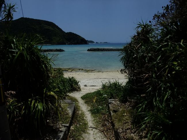 こういう感じで茂みから見える海が大好きです。<br />早速、正面の海にドボン