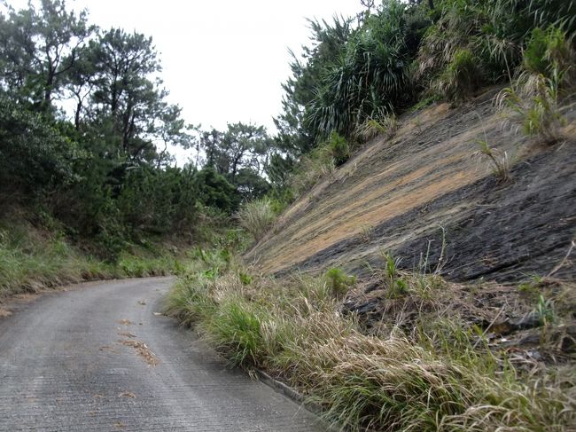 夕食後、まだ外が明るかったので島内散策に出かけました。<br />面白い地層ですね。