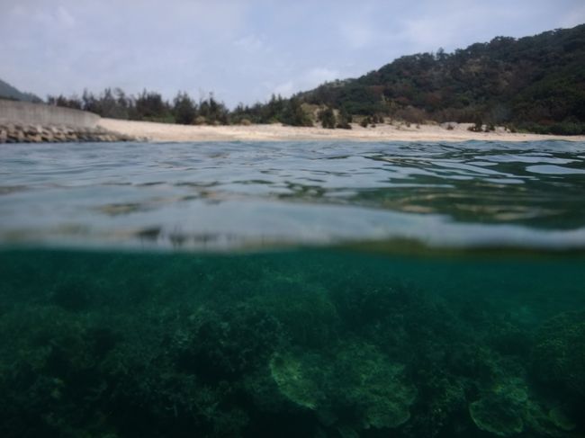 戻る途中に真謝浜に寄って軽くシュノーケルしました。<br />ここも珊瑚が多くて綺麗です。<br />集落からも近いので便利です。<br /><br />５箇所でシュノーケルしたのですがニシハマビーチが一番でした。<br /><br />