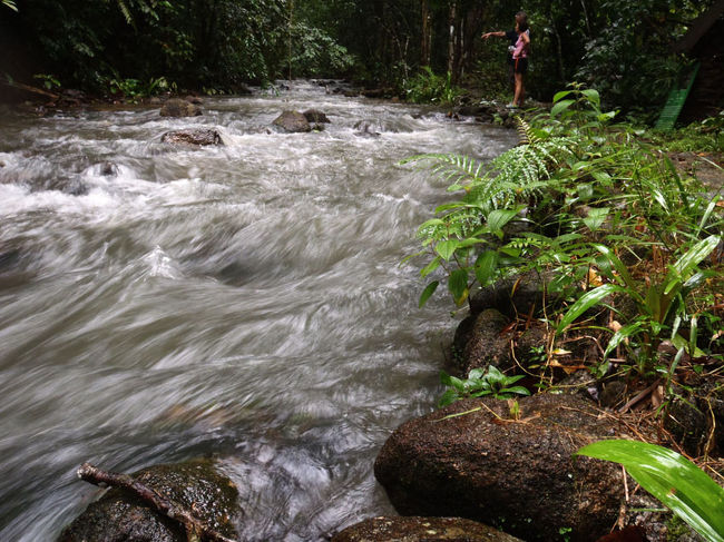 そこから15ｋｍ走ると、Tonprai Water Fallの入口に到着。<br />雨で水嵩が増した川が激しく流れる。