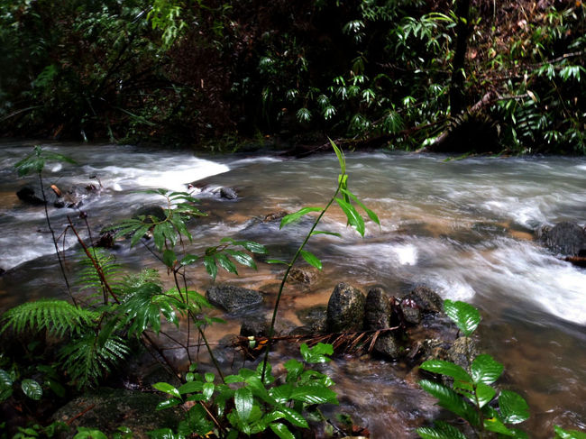 自転車はサポートカーのそばに置いて、歩いて滝を目指す。<br />滝までは650ｍの道のり。