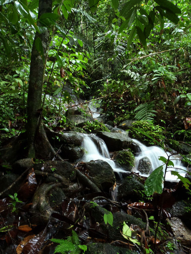 ところどころ小さな滝も有り、天気は良くないけど自然を楽しみながら進む。