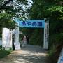 五十公野（いじみの）公園　満開の花菖蒲