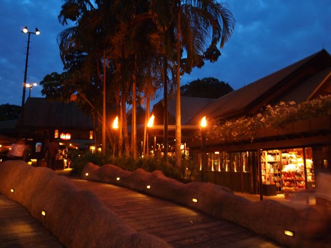 食事を終えて、今度はナイト・サファリへ！<br /><br />『市内からだとナイト・サファリに行くのも帰るのもちょっと面倒だから、お父さんに送ってもらいましょ！』と言われ、送って頂くことに…。あわわわすすすすみません…！！！<br /><br />そしてナイト・サファリ到着！<br /><br />暗いところの撮影に慣れて無くてぶれるぶれる…（←