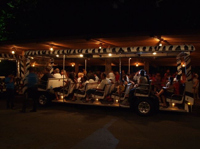 日本語トラムの本数が少なかったので、英語トラムへ。<br />シマウマ柄とトラ柄のトラムがありました。