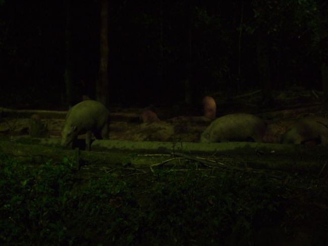 …何だっけーーーーー…（←