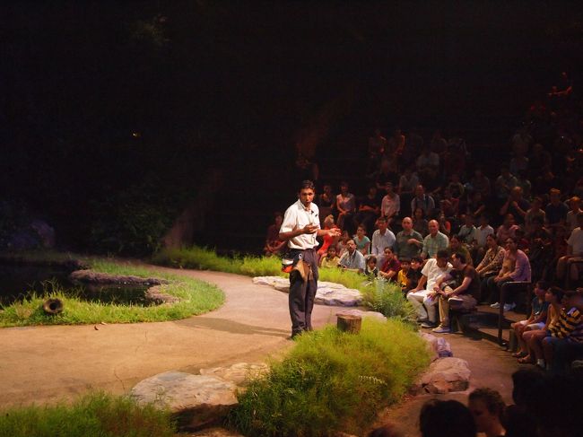 このお兄さん（？）が各国の言葉（英語、日本語、韓国語、中国語、ヒンディー語…かな）で『フラッシュ撮影はだめだよ』というアナウンスをするんですね。<br /><br />で、そのアナウンスをする前に『Chineeeese!』とか呼びかけるんですけど、『Japaneeeeese!!』って言われて手をあげたの私ぐらいしかいなかったっていう…ね。<br /><br />アナウンスする中に日本語入れてるってことは、それなりに観光客も多いハズなのに私しか日本人いないって…。<br />やっぱり地震の影響なんでしょうね…。