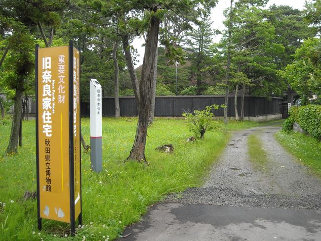 塀の向こうが奈良家住宅。この芝生では目の前３メートルで雉の親子が遊んでいた。