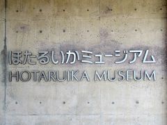 それは滑川市のほたるいかミュージアム、その名の通りほたるいかがメインの施設です。
入館料は、生きたほたるいかを見ることが出来る３月２０日から５月３１日までは８００円、その他の時期は６００円です。