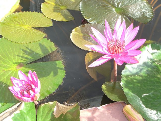 とても綺麗です。<br />