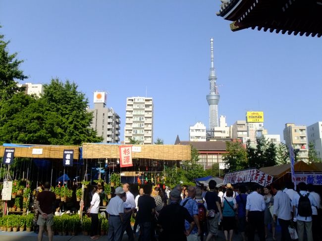 ここから、スカイツリーがよく見えます。