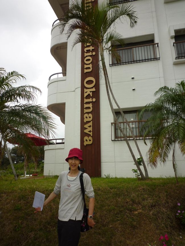 これは広告ではありません。