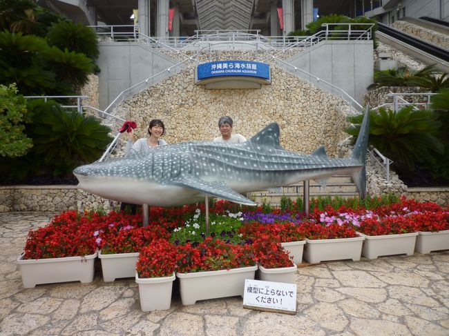 翌日はちゅら海水族館見学