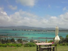遅めのお昼は、
島の高台にあるCafeフクルビさんでいただきました。
大人はバジルのピザにアイスコーヒー、
子供はよもぎピザにドリンクバーを注文しました。

あいにくの強風でゆっくりはできませんでしたが、
古宇利大橋を眺めながら美味しい食事がいただけました。