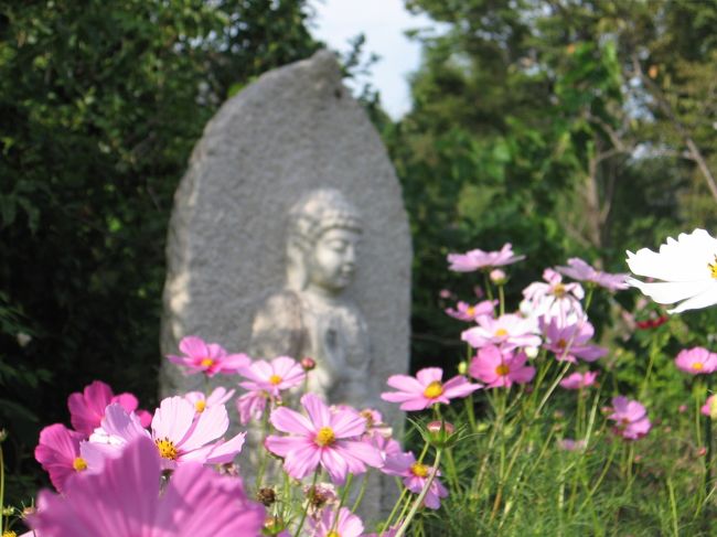 こんな具合に。