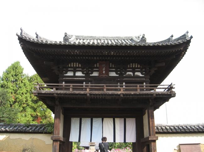 国宝・楼門。<br /><br />平安時代末期、平家の南都攻めにより焼失してしまったので、<br />楼門も鎌倉時代に建てられたもの。<br />パンフレットによれば、鎌倉再興伽藍の回廊門。<br />和様に天竺様式を取り入れ、美しく軽快な屋根のそりを見せる、、、と書いてありますが、「屋根のそり」が上手に美しく撮れたかどうか。<br />楼門様式では日本最古の作例だそうです。<br />それゆえ、国宝。<br /><br />楼門からは残念ながら入れません。若い頃に来た時はどうだったのかな〜覚えていません。<br />また楼門の中から外を見ると全く風情がないので、楼門の外から般若寺境内を写しました。