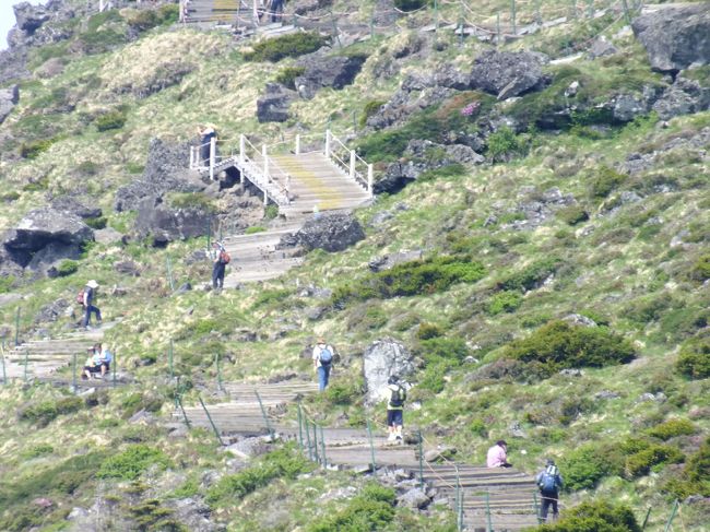 山頂までずっと木の階段です。ここまでする必要があるのでしょうか？