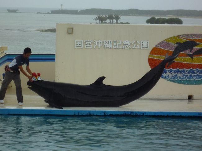 シャチは今度は舞台の上に。。。