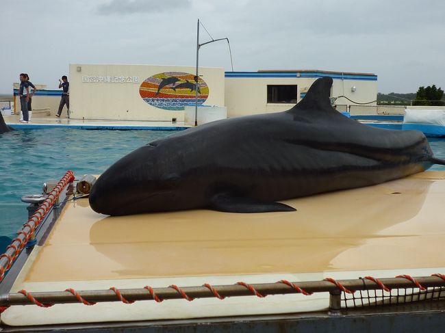 凄い巨体だ！メタボ君以上だ！<br />当たり前か？