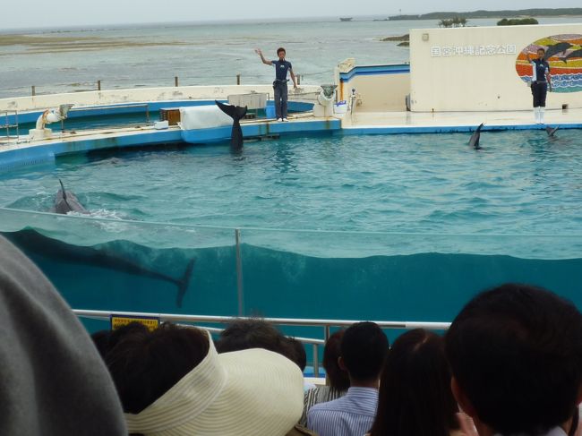 イルカとシャチの水槽