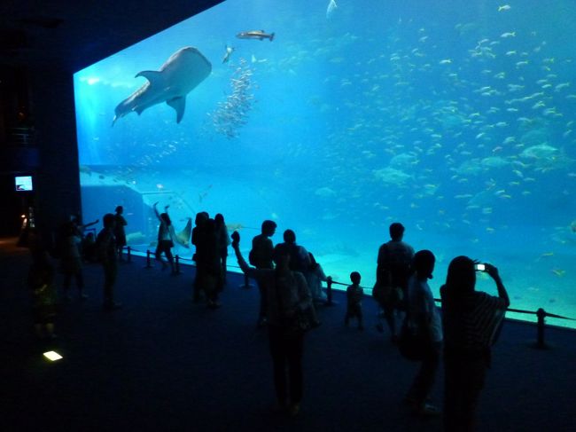 巨大水槽にかぶりつく観客