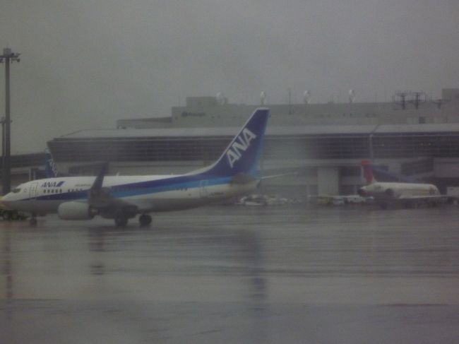 名古屋に着いたら雨でした。。。