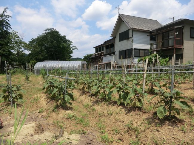 安田さん宅と畑・・・