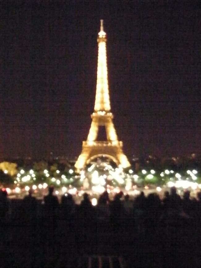 ふたたびTorcaderoへ戻る。エッフェル塔の夜景。言われた通り、すごいキレイだ。<br /><br />その後、同じホテルに泊まっていたフランス人に連れられ、ガレットの夕食。<br /><br />実はこの日、誕生日だった私。（あとから気づく。。）<br /><br />この先約のために、昼間のイケメンのお誘いを断らなければいけなかったのは悲しいが（笑）、一人ごはんにならなくてよかった。