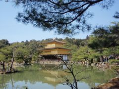嵐山を後にし、金閣寺へ。
いかにも　「京都に来ました」と言った　観光地ですが、ここでも　家族みんなで神妙にお参りしてきました。