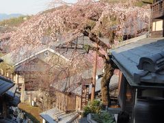 銀閣寺の後は、二日前にも来たのですが、また、二年坂・三年坂へ。
2日前には　まだ固いつぼみだった桜が、たった2日で　ほころび始めていました。
もう　何日かしたら、綺麗なんだろうなぁ。。。