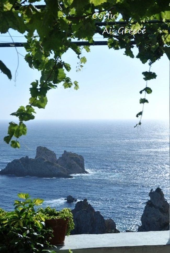 このブドウの葉っぱと海。<br />この景色好きでした。<br /><br />自家製のワインやオリーブオイルも販売してたので、<br />とりあえずワインを買ってみました♪