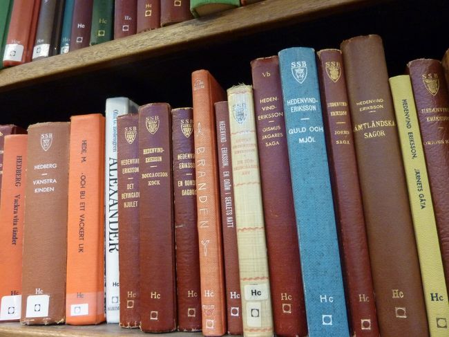 あるべき所に並んでるだけで絵になります。