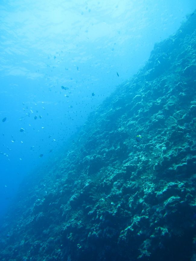 一本目。<br />ポイント名は、九六九の崎（グルクのサチ）<br />ドロップオフです。