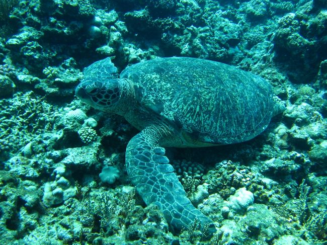 グラビア撮影みたいに皆で撮りまくりました（笑）