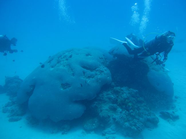 人を入れて撮ると大きさが分かります。
