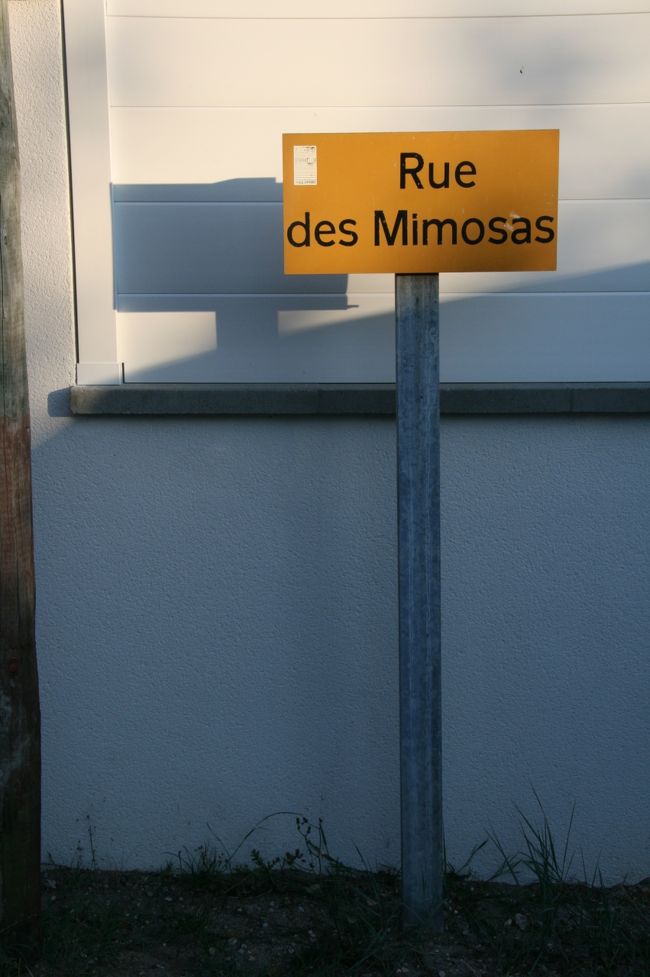 パリから南西に650キロ。<br />大西洋側に位置するカップ・フェレに到着！<br /><br />長いドライブだったので、<br />到着した頃にはもうすっかり夕暮れ時です。<br /><br />ここカップ・フェレ(Cap Ferret）は、2010年にフランスで放映された「Les Petits Mouchoirs」の舞台になった場所で、この映画はフランス人に大人気でした。フランス人の友情を語った内容の映画なのですが、俳優自らが監督になり、友達の豪華俳優同士で作った映画で、今のフランスを垣間見れるとてもフランスらしい映画だと言われています。<br /><br />写真はカップフェレのミモザ通り…