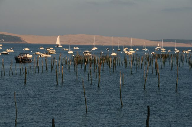 海辺に続く道沿いにはレストランがあり、<br />バカンスを楽しむ家族連れで賑わっていました。<br /><br />遠くに見えるのはヨーロッパ最大級のピラの砂丘。<br /><br />