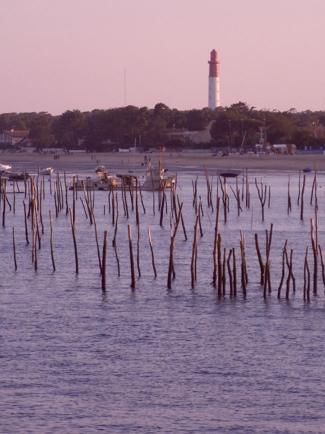 そろそろ私たちもホテルに戻らないと…