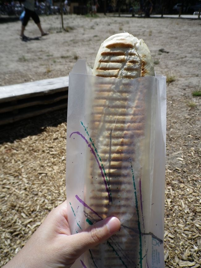 まずその前に…<br /><br />ピラ砂丘の駐車場前で買った<br />サーモンのパニーニで腹ごしらえ♪<br /><br />何をするにもエネルギーがないとっ！