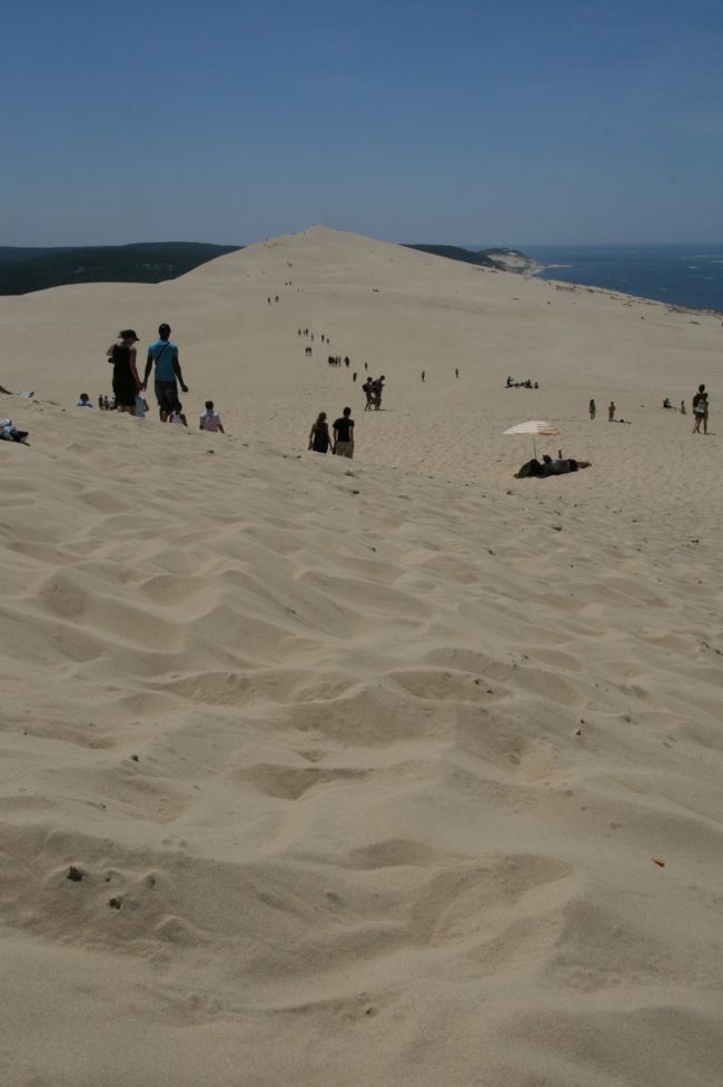 砂丘の頂上からは両脇に森と海。<br /><br />