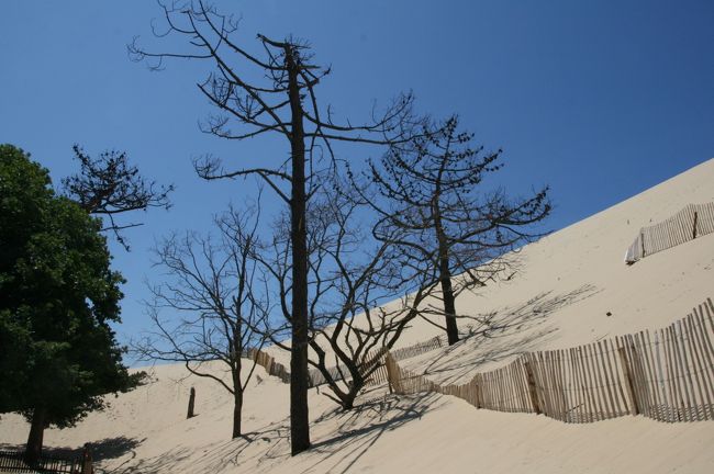 さて、これから10キロ離れたアーカションへ向かいます♪