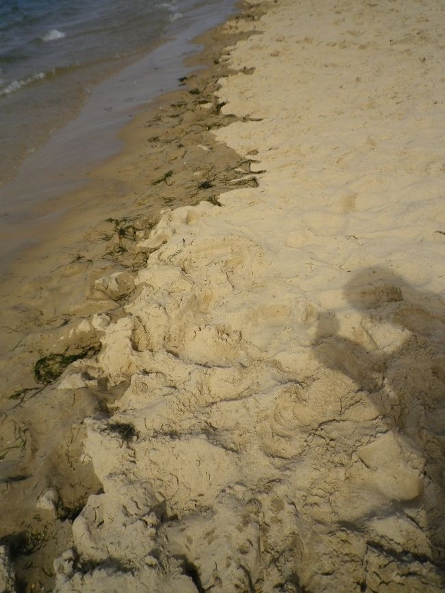 寒くなるまでの2時間強海水浴をしました。