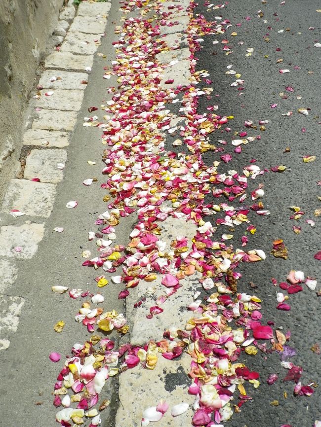 途中花弁の散る素敵な石畳を通り…