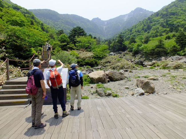 下りは観音寺コースです。登りに比べると変化がありますが、最初はやはり木の階段が続きます。<br />数年前の台風で流されたという小屋の跡です。